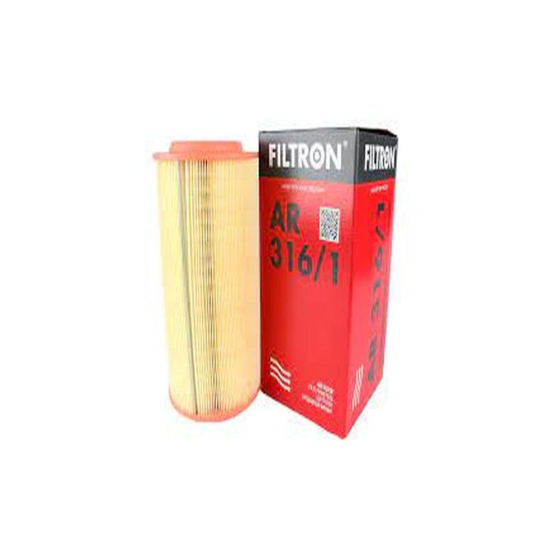 FILTRO AIRE FILTRON CITROEN-FIAT-PEUGEOT (AR316/1)