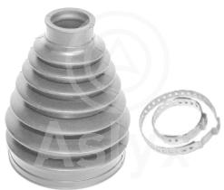 ASLYX AS200488 - KIT FUELLE L/RDA MEGANE III -CLIO I