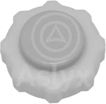 ASLYX AS201264 - TAPON BOTELLA EXP 0.70 BAR