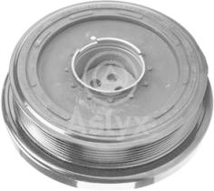 ASLYX AS521202 - POLEA CIGEÑAL BMW S/5 X5 2.5D-3.0D