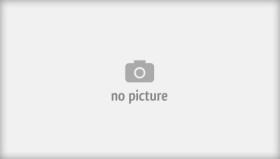 BREMSI CD7408VRD - DISCHI FRENO - BRAKE DISCS