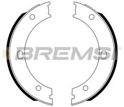 BREMSI GF0131 - GANASCE FRENO - BRAKE SHOES