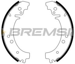 BREMSI GF0160 - GANASCE FRENO - BRAKE SHOES