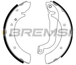 BREMSI GF0172 - GANASCE FRENO - BRAKE SHOES