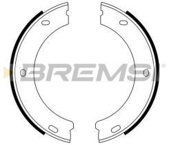 BREMSI GF0384 - GANASCE FRENO - BRAKE SHOES