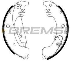 BREMSI GF0417 - GANASCE FRENO - BRAKE SHOES