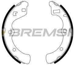 BREMSI GF0703 - GANASCE FRENO - BRAKE SHOES