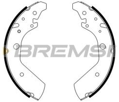 BREMSI GF0717 - GANASCE FRENO - BRAKE SHOES