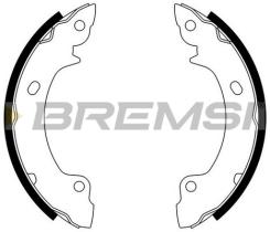 BREMSI GF0731 - GANASCE FRENO - BRAKE SHOES