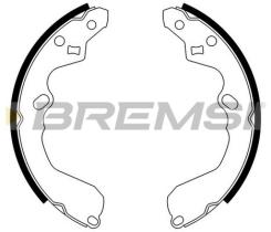 BREMSI GF0791 - GANASCE FRENO - BRAKE SHOES