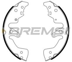 BREMSI GF0895 - GANASCE FRENO - BRAKE SHOES