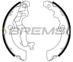 BREMSI GF0925 - GANASCE FRENO - BRAKE SHOES