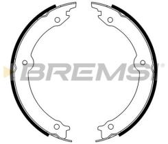 BREMSI GF0973 - GANASCE FRENO - BRAKE SHOES