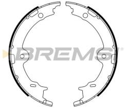 BREMSI GF0979 - GANASCE FRENO - BRAKE SHOES