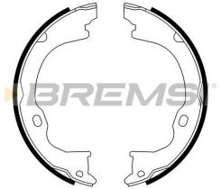 BREMSI GF4941 - GANASCE FRENO - BRAKE SHOES