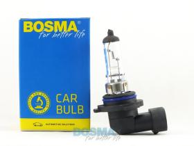 BOSMA 5090061 - HB4 P22D-12V 80W RALLY