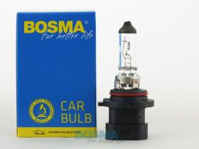 BOSMA 509006XS - HB4A XS P22D-12V 51W
